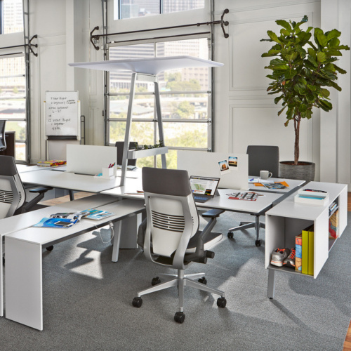 Bivi Collection - 0