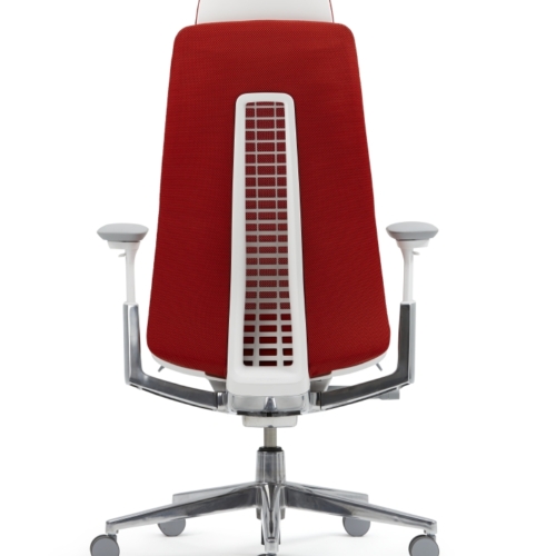 Fern Executive - 0