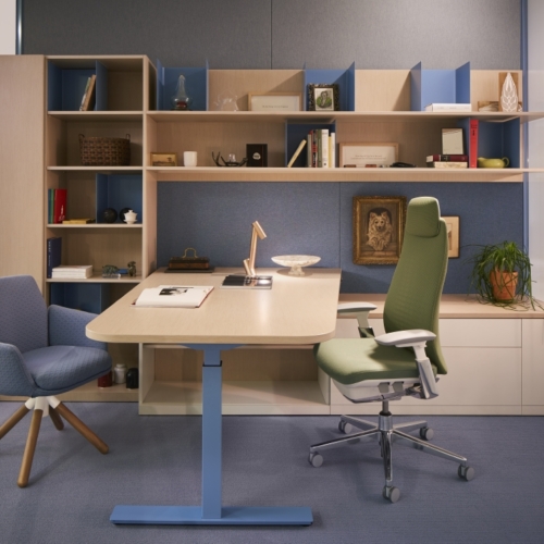 Fern Executive - 0