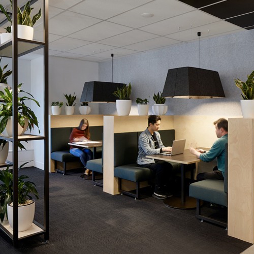 Vapor Echo Rectilinear - 0