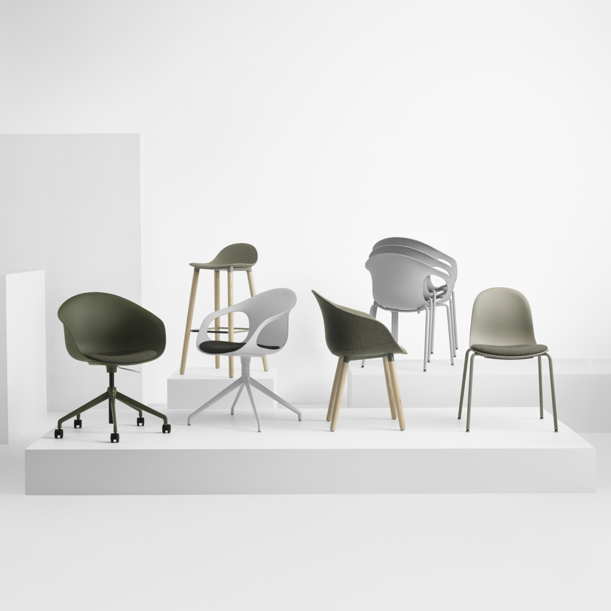 Kin - Education Snapshots