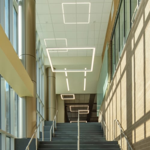 Accolade by A-Light