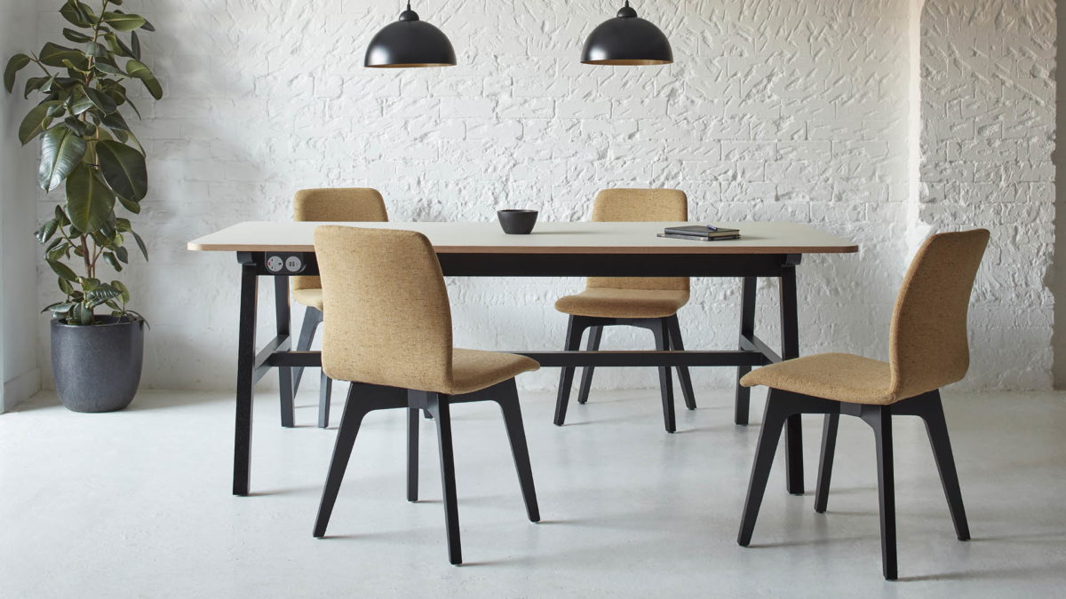 Agent Chair - Education Snapshots
