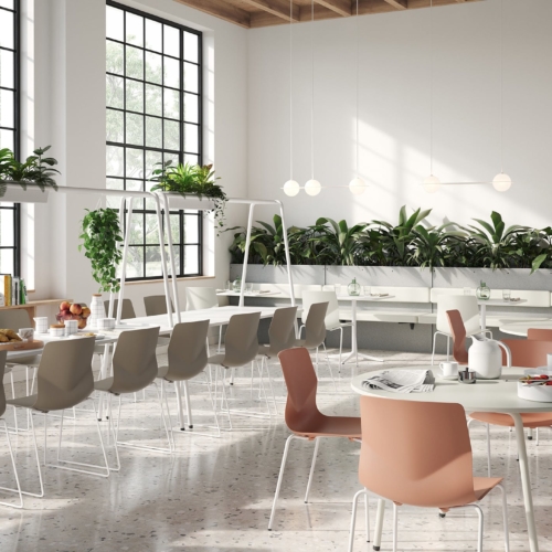 FourSure® Color - 0