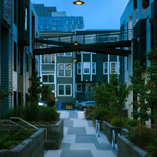 MAYA - 0