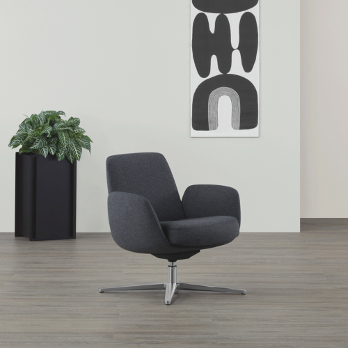 Plumeya Lounge - 0
