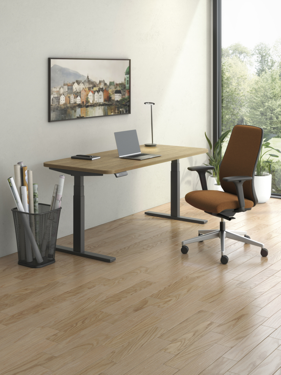 Height Adjustable Tables - Education Snapshots