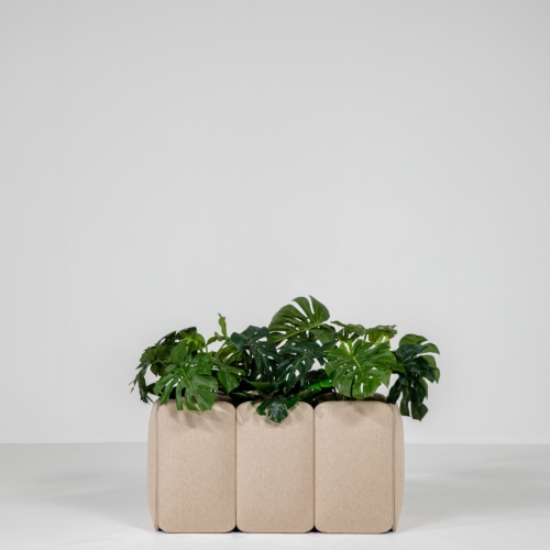 BuzziChicle Planter - 0