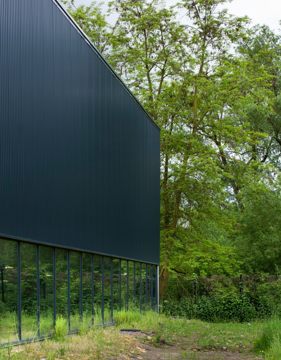 Gymnasium of the Louis de Cormontaigne High School Education Snapshots