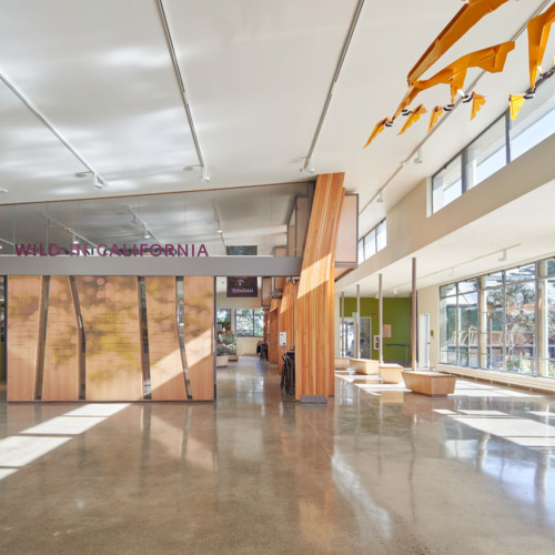 recent Randall Museum Renovation education design projects