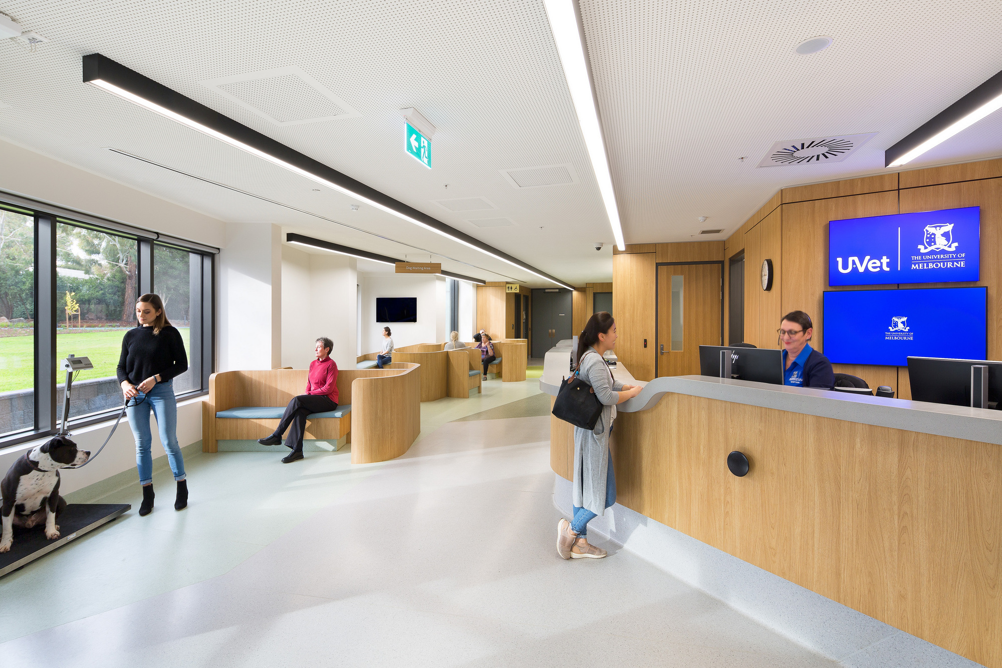 The University of Melbourne Veterinary School Education Snapshots