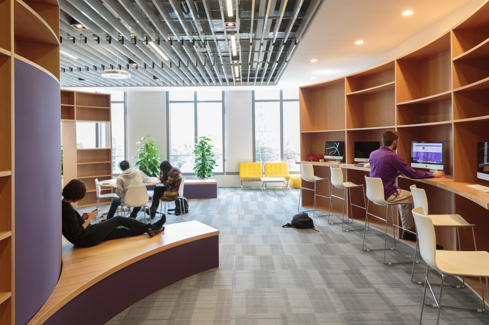 NYU Shanghai Education Snapshots