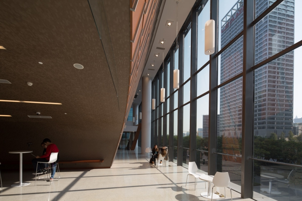 NYU Shanghai Education Snapshots