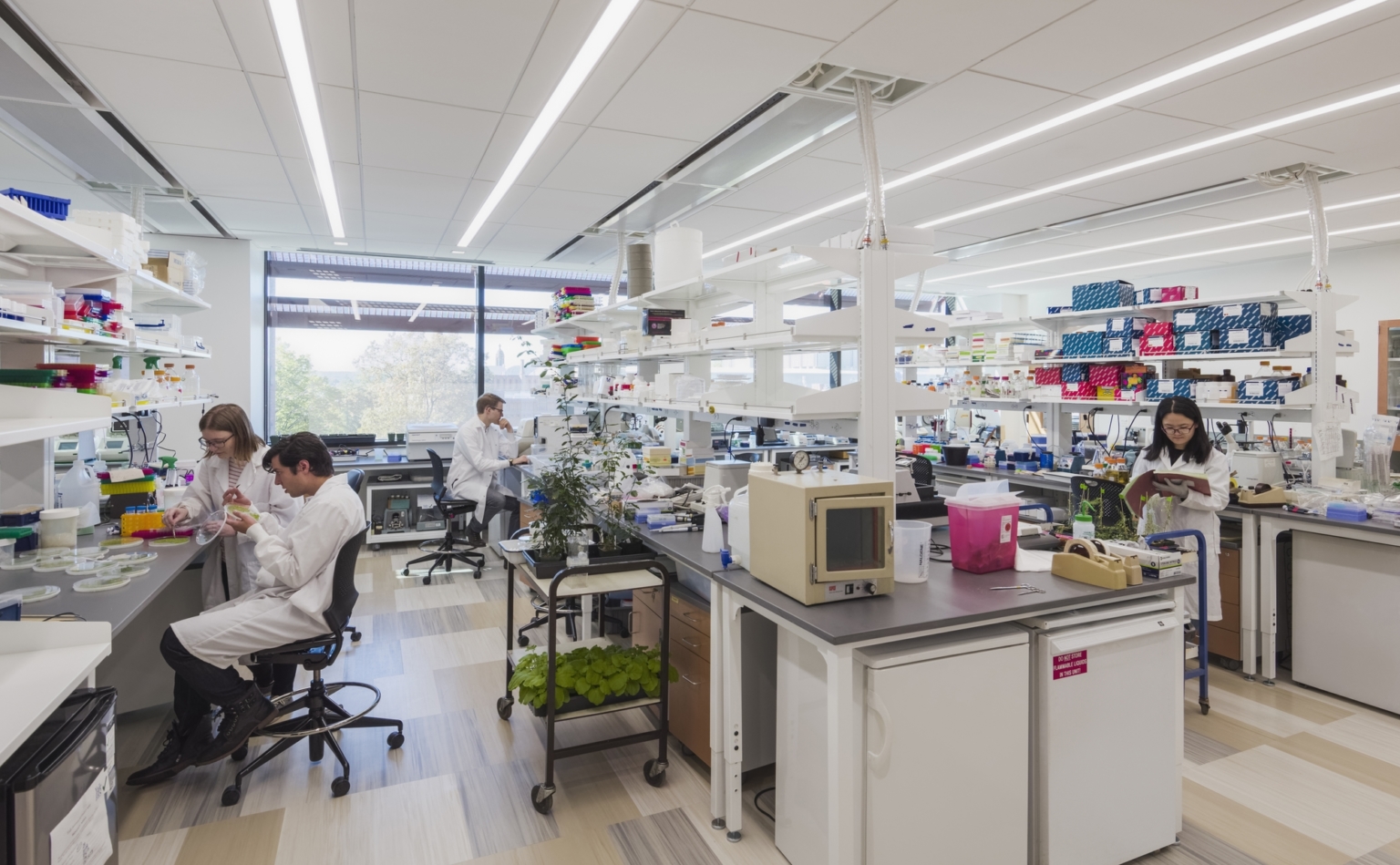 Yale University Yale Science Building Education Snapshots