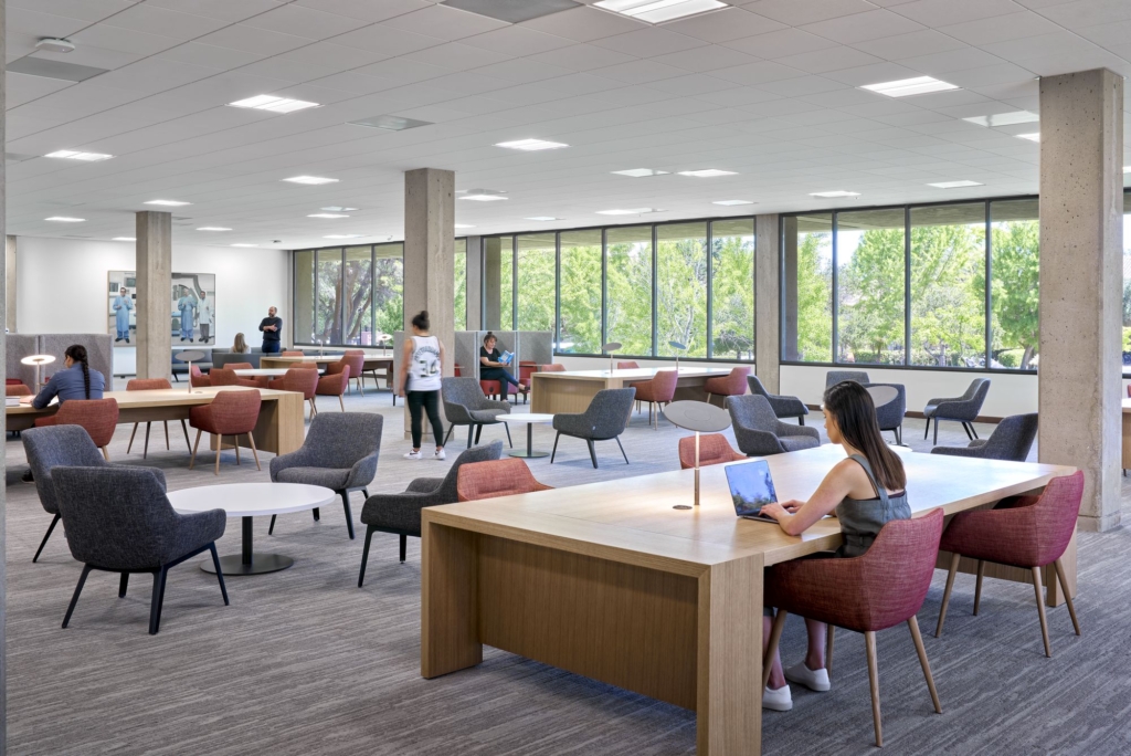 Stanford University - Green Library, East Wing - Education Snapshots