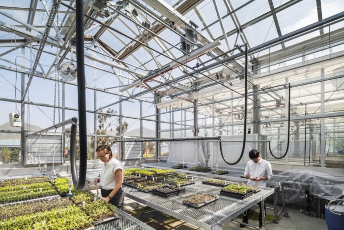 University of California, Riverside - College of Natural and Agricultural Sciences (CNAS) Plant Research 1 - 0