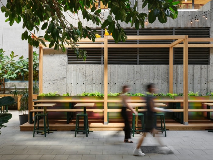 Collège de Maisonneuve - Interior Garden - 0