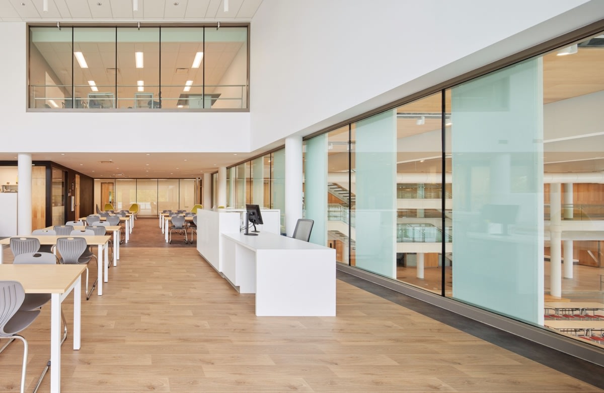 Jeu De Cartes Bicycle New Era – Édition Limitée Trump – Rare, Neuf 2022